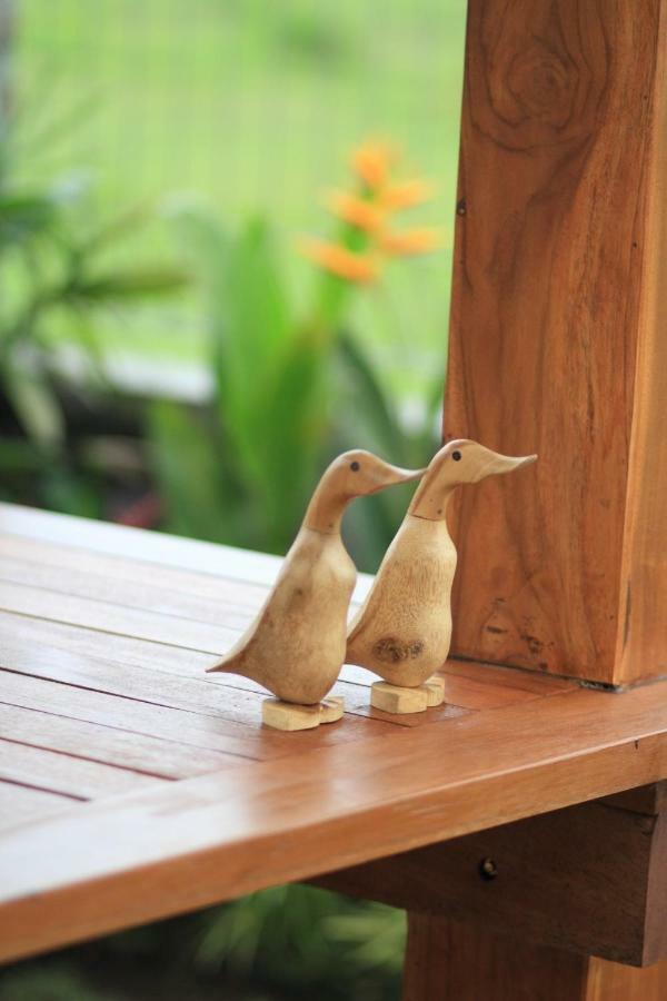 Private Pool Villa - Villa Saia Ubud Ngoại thất bức ảnh