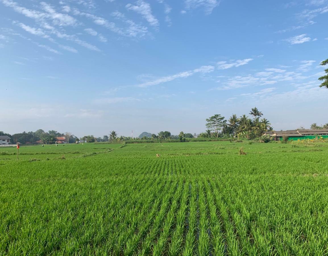Private Pool Villa - Villa Saia Ubud Ngoại thất bức ảnh